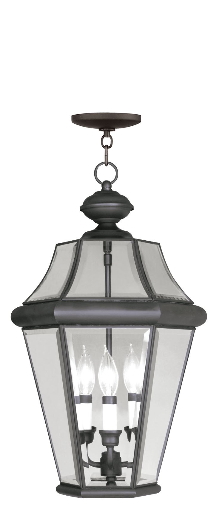 Large Outdoor Pendant Light Ideas on Foter