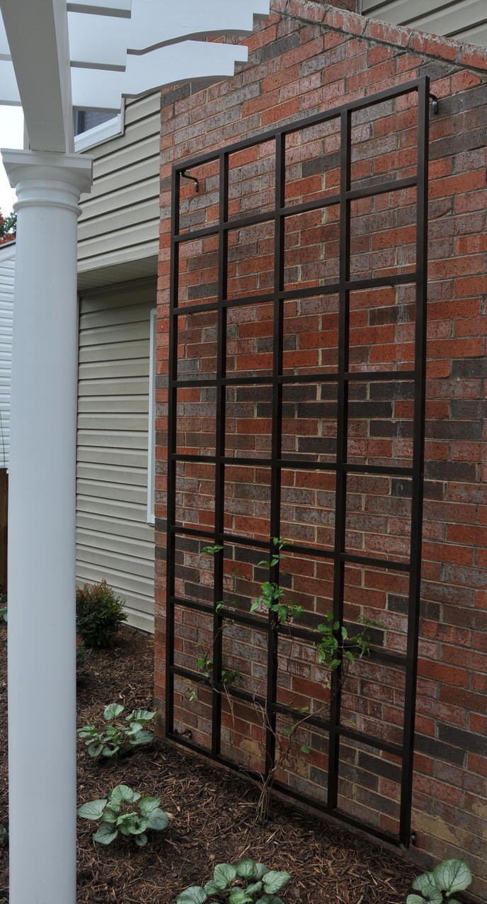 Black Metal Trellis Foter   4 X 8 Wall Trellis 