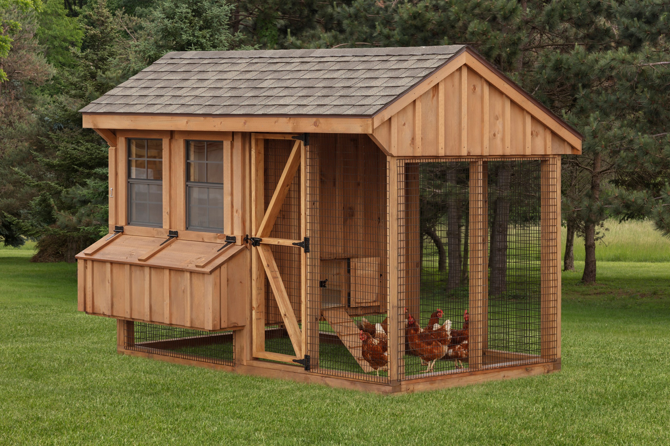 Chicken Coop Kits A Beginners Guide Rijals Blog 