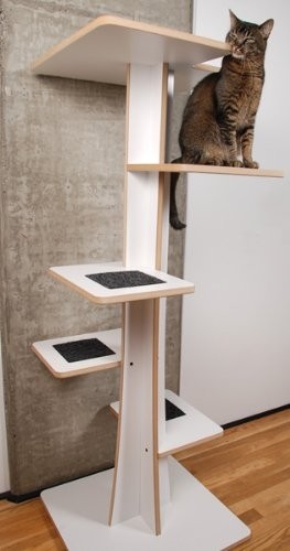 Looking for an eco friendly cat tree