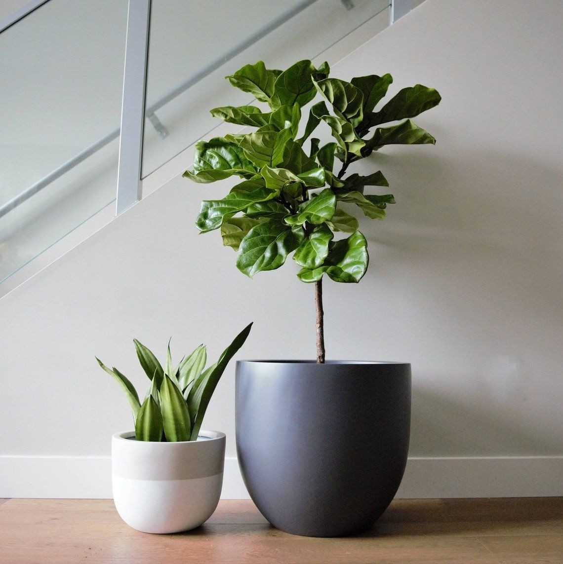 Grey Indoor Plant Pots