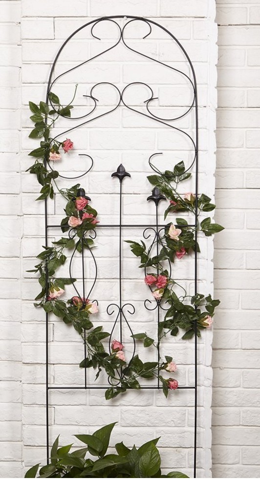 Black Metal Trellis Ideas On Foter