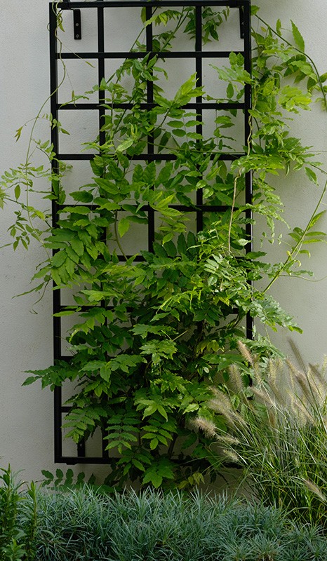 Small modern wall trellis made of steel galvanised and