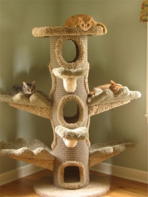 Giant Cat Trees Foter