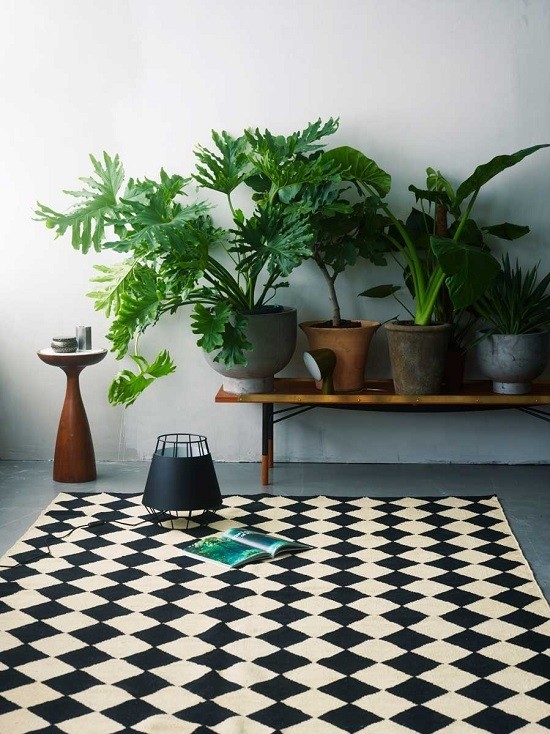 33 creative ways to include indoor plants in your home