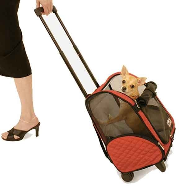Airline approved cat carriers