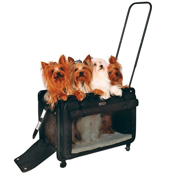 Best airline approved pet carrier with wheels for dog cat