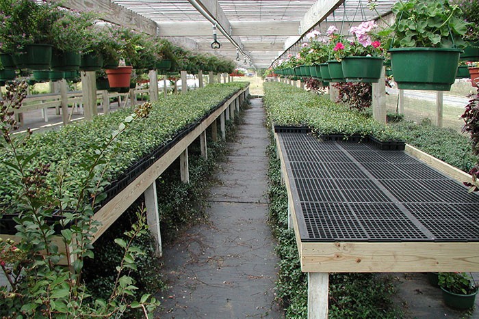 Dura bench plastic greenhouse bench top original overlap
