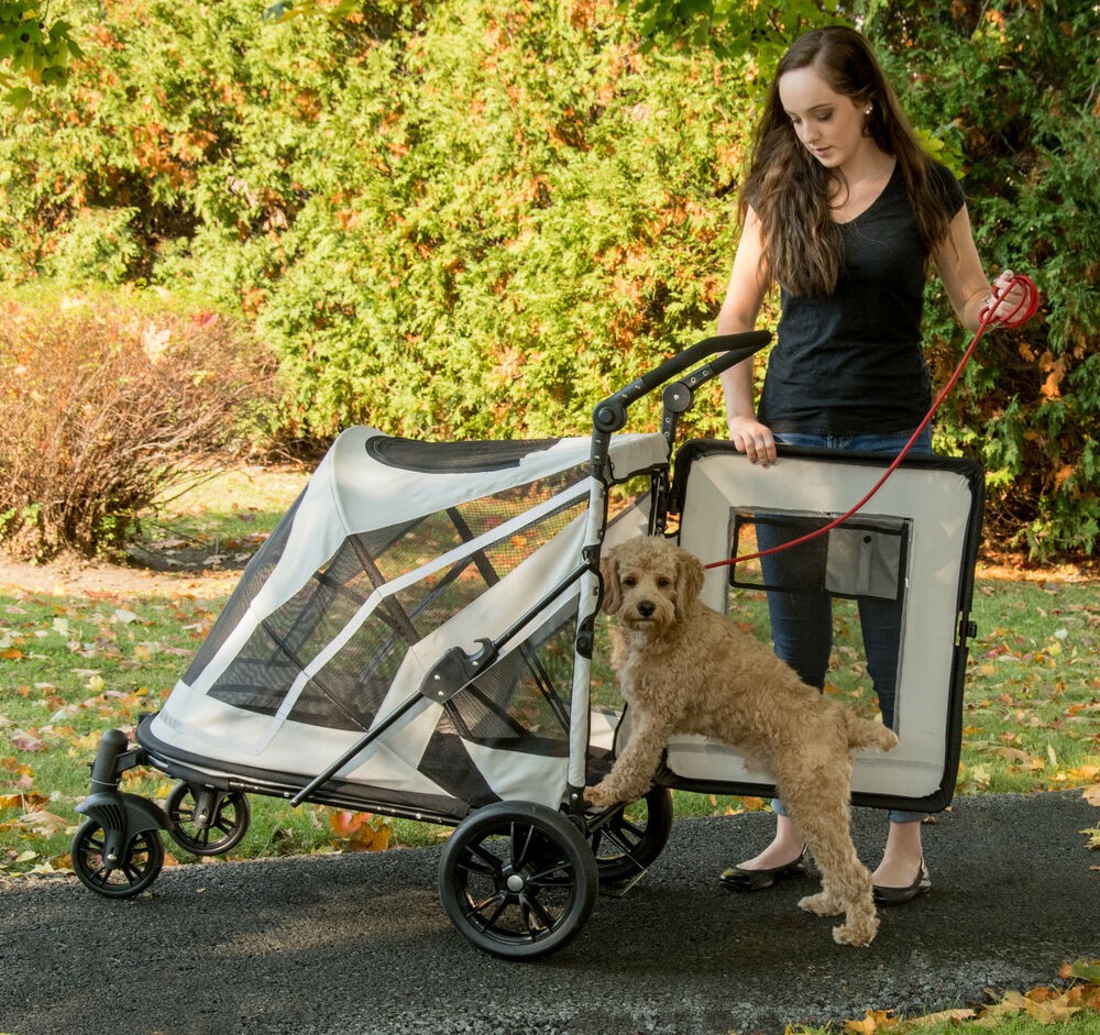 xl dog pram