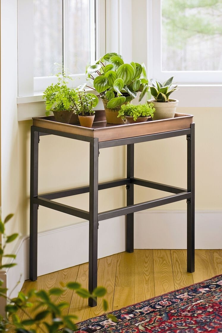 Plant stand with copper tray buy from gardeners supply