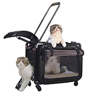Take the stress out of buying the best cat carrier