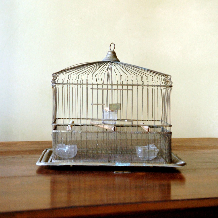Antique hendryx bird cage brass birdie