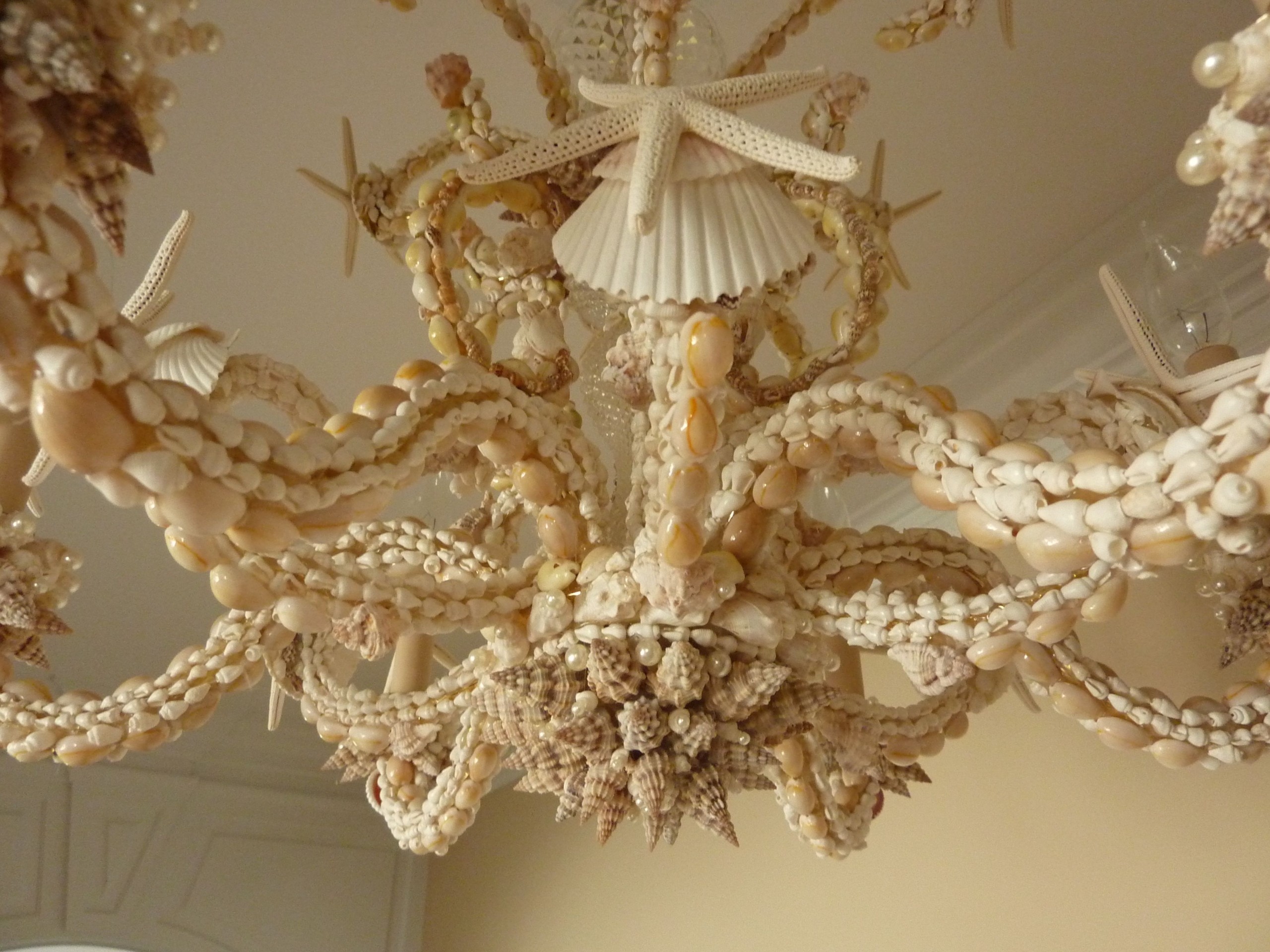 Sarahs seashell chandelier i love shelling