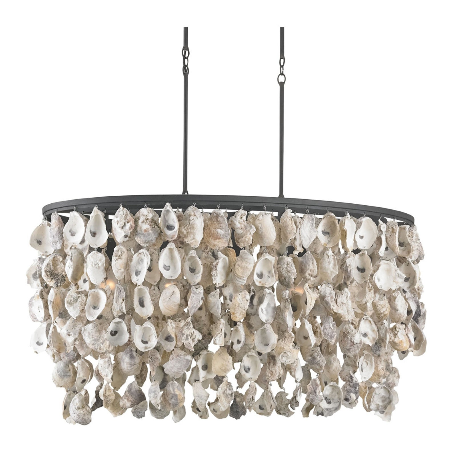 Seaside oyster shell chandelier shades of light