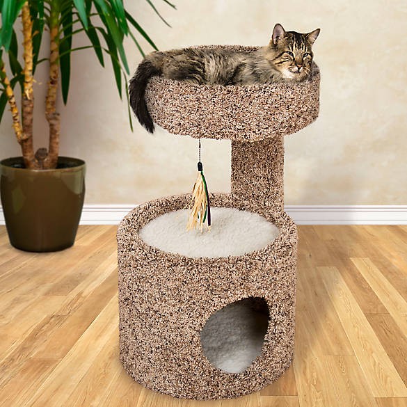 Whisker city r cat condo cat furniture towers petsmart