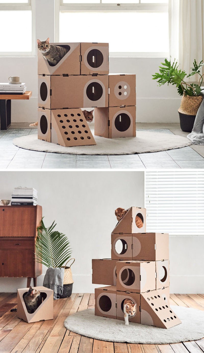A cat thing have created a modular cardboard furniture 2