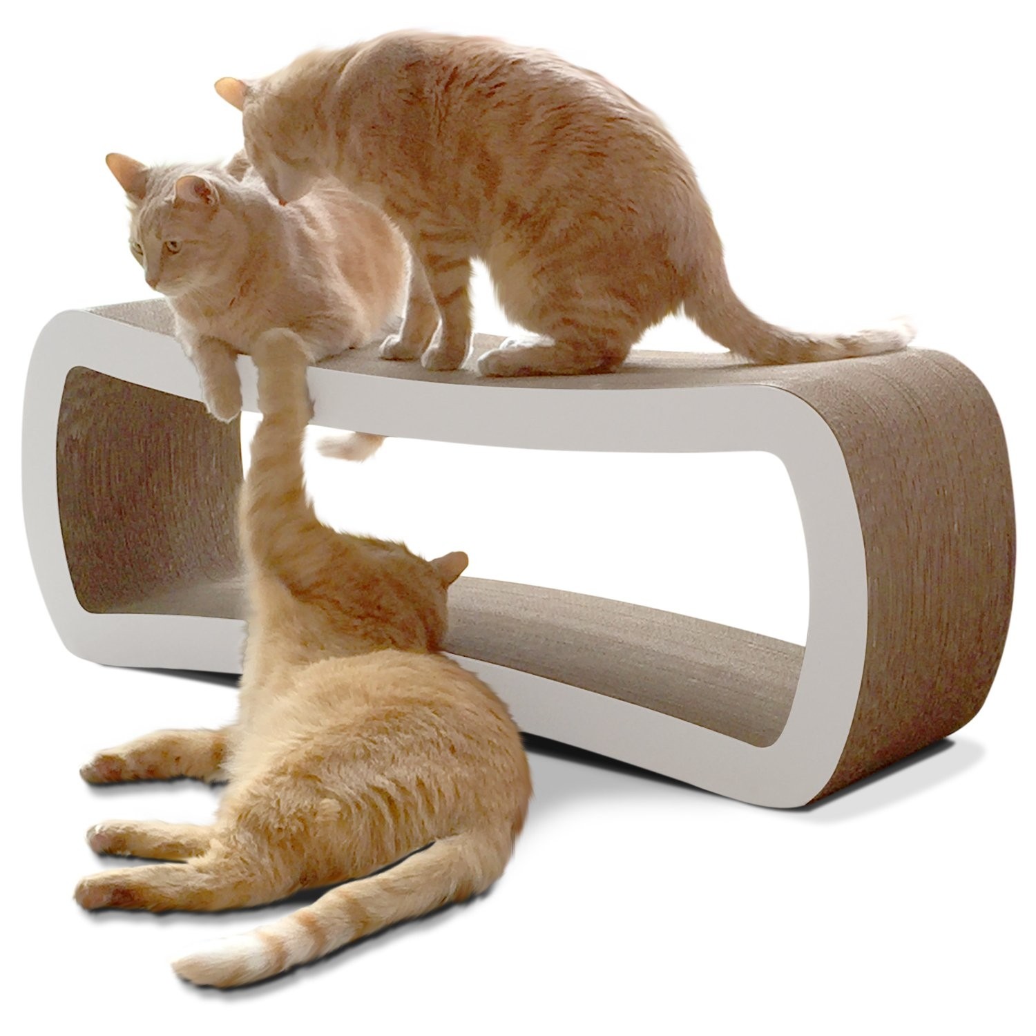 Cardboard cat scratcher bed uk