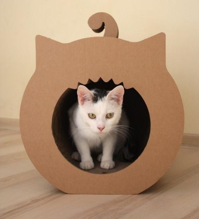Catsdiyaccessories cardboard cat house cat house diy