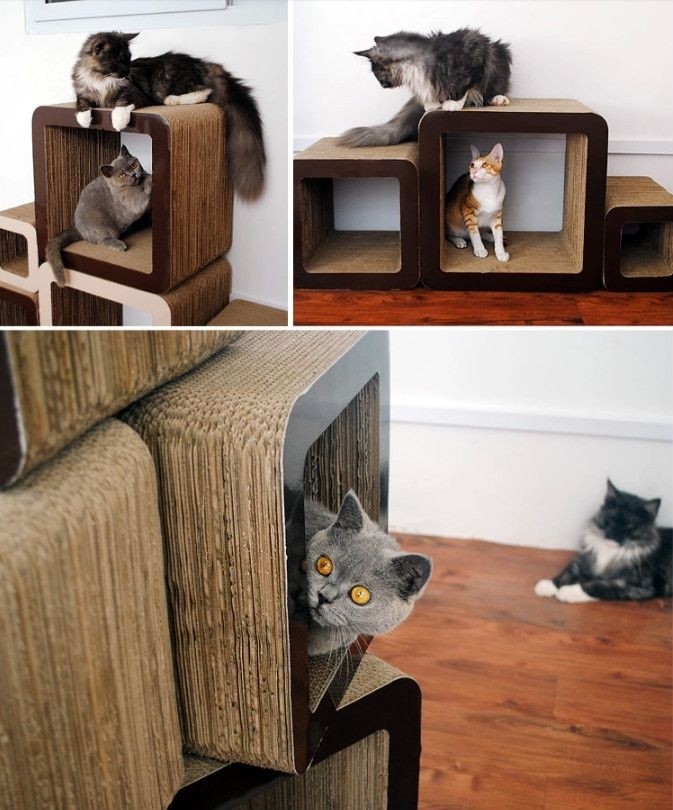 Simple unique square design cat scratcher cardboard cat