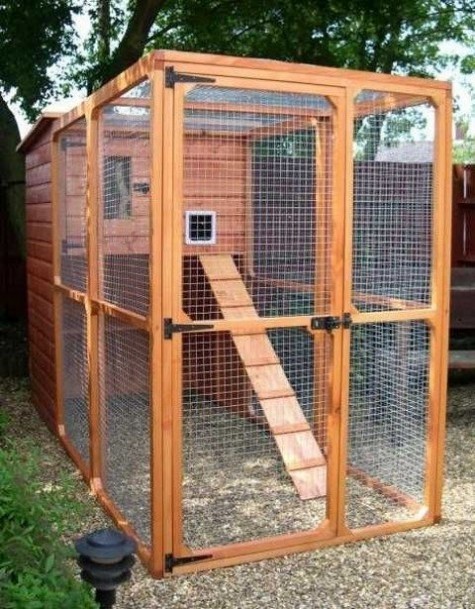 51 outdoor cat enclosures your cat