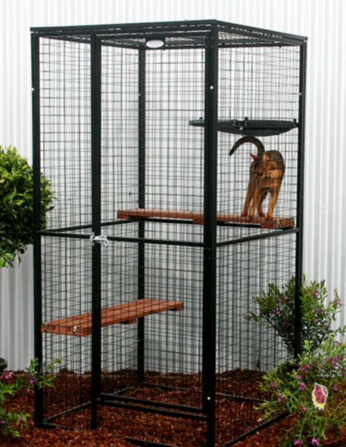 Cat enclosures 1
