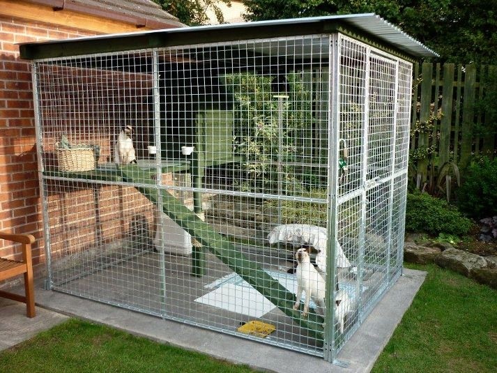 Extension on patio pad outdoor cat enclosure cat