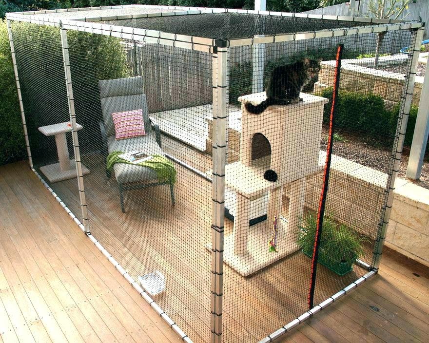 Outdoor patio cat enclosures pet catios for cats cages