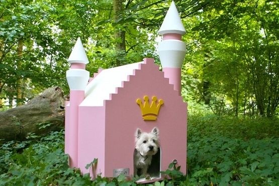 Pink princess dog kennel ellie needs this diva dog
