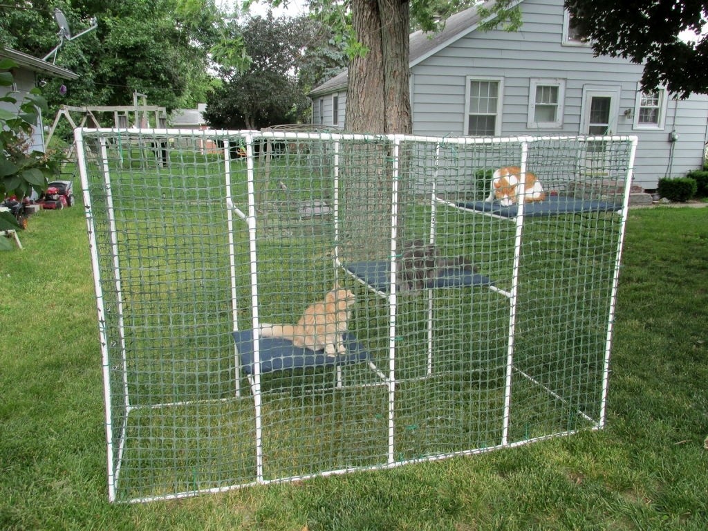 Pvc cat enclosure