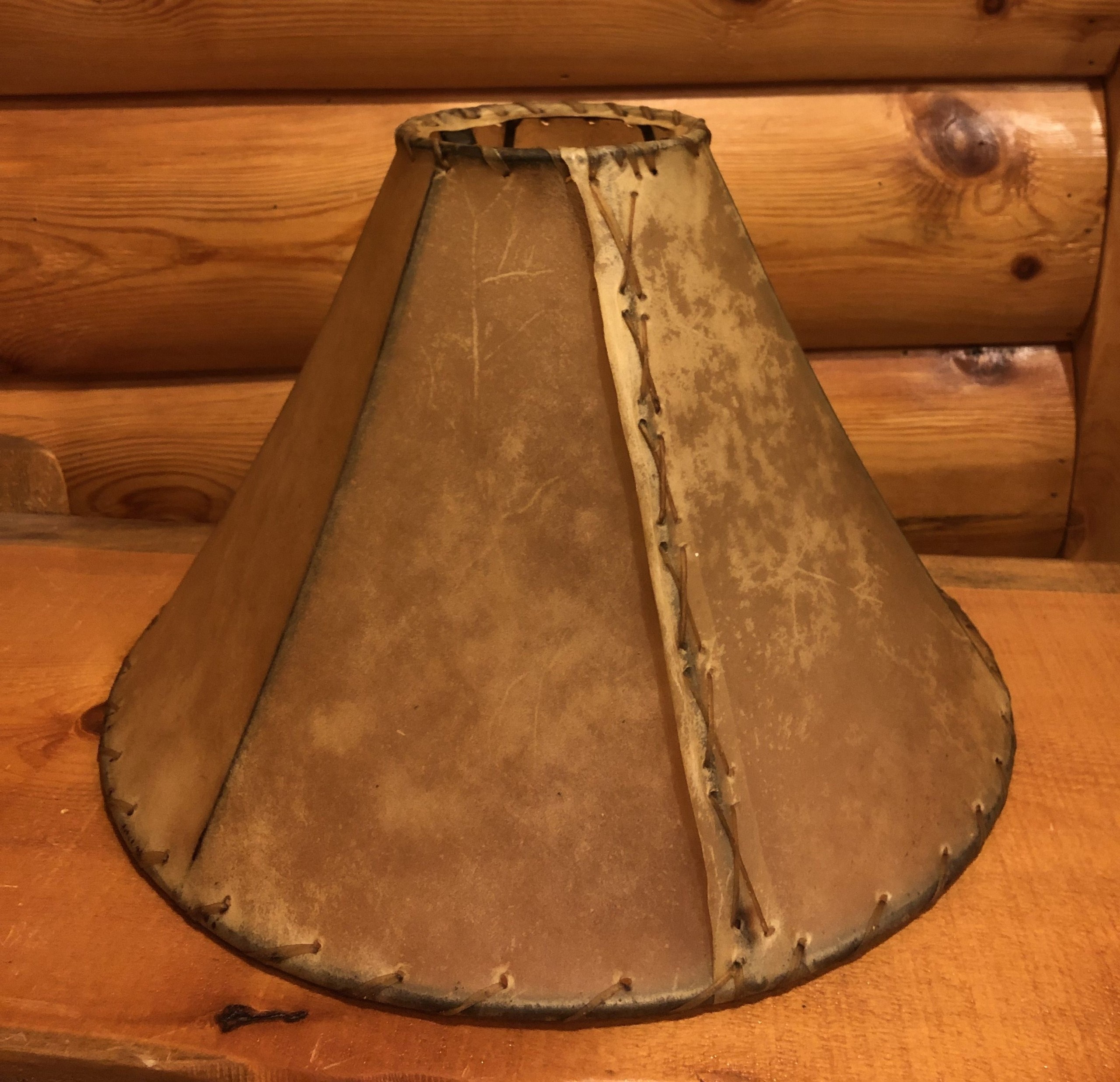 Rawhide natural lamp shade bears den colorado