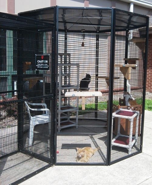 Suncatcher cat cage testimonials