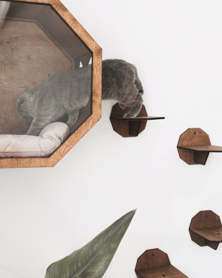 Wooden cat wall furniture provides a stylish way to 2
