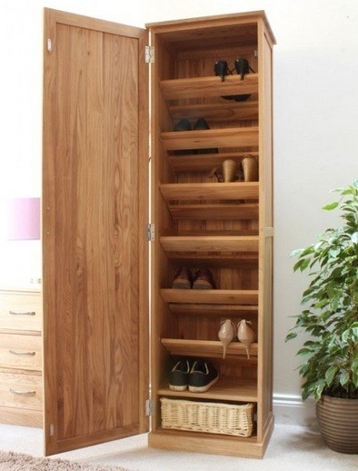 Shoe cabinet with doors models how to care it home