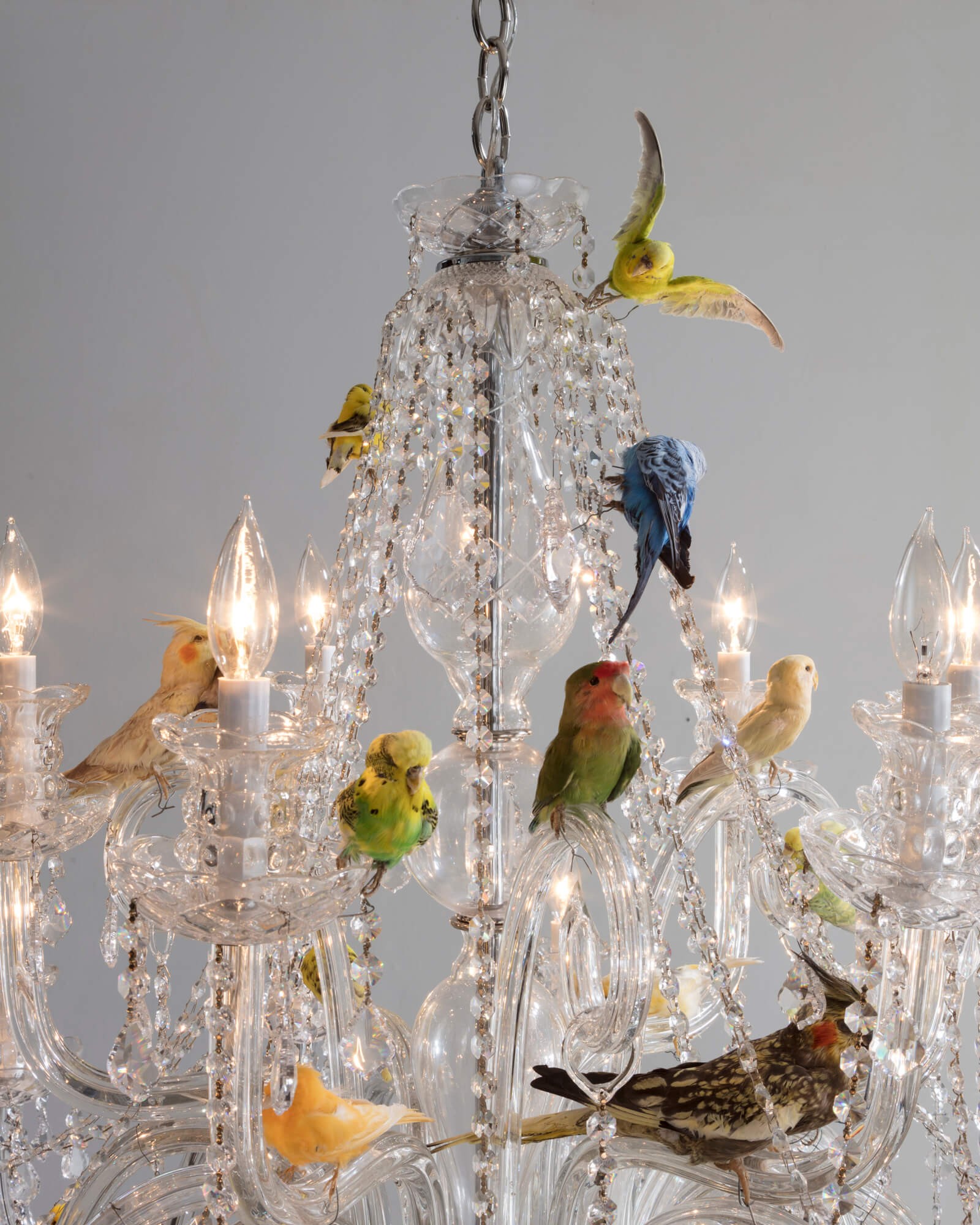 Unique bird chandelier small crystal chandelier with