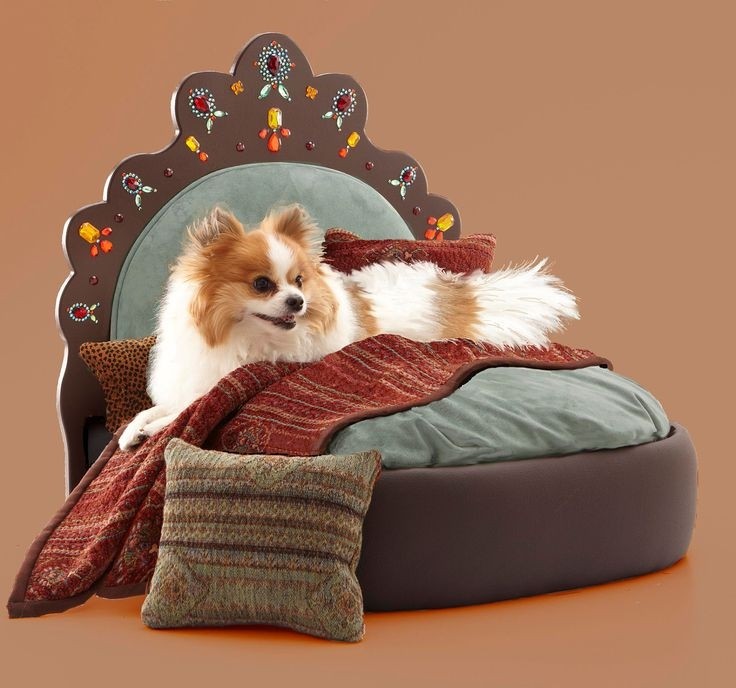 30 unique and modern pet beds the pets central 4