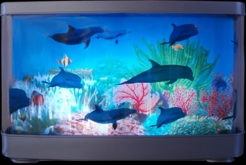 Medium 3 d dolphin motion lamp dolphins unlimited