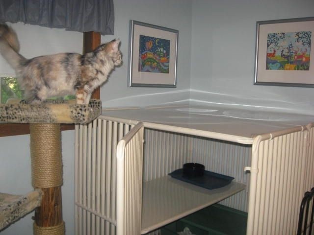 Buying a indoor large cat cage cat cages large cat