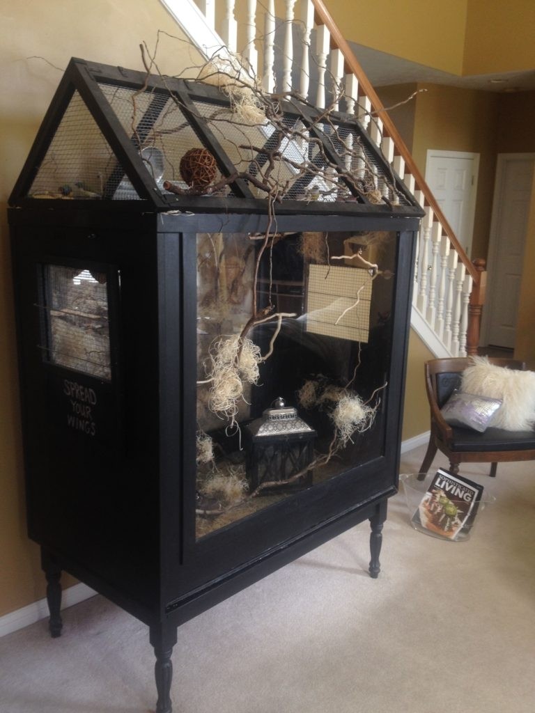 Diy cat cage 007 meowlogy
