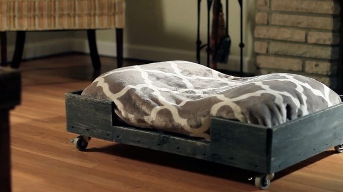 Diy dog bed frame step by step diy guide and