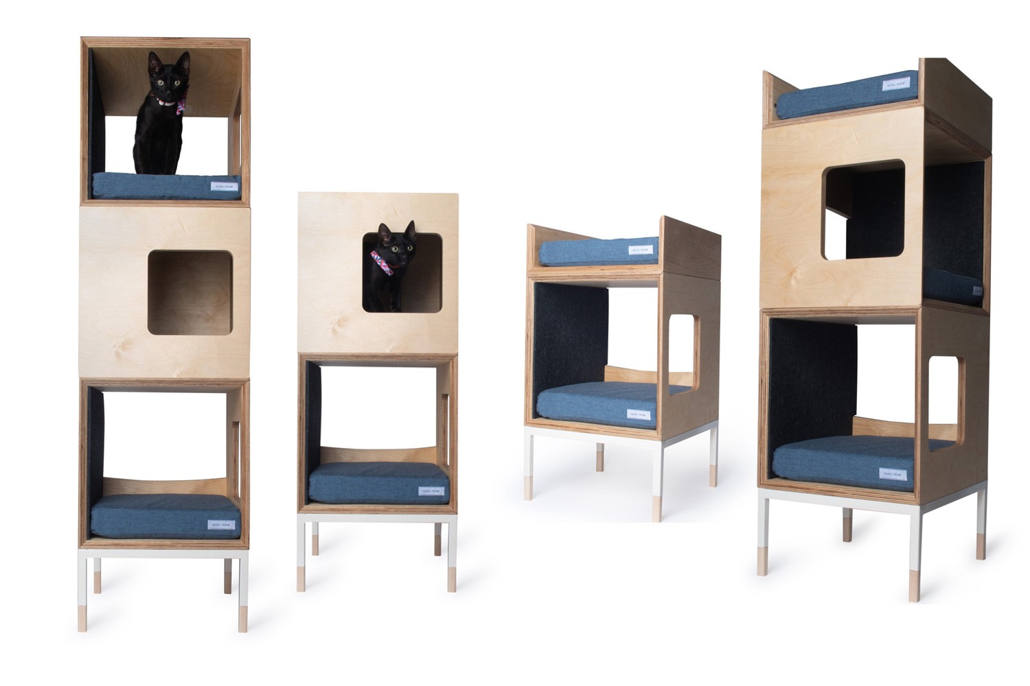 Minimalist cat trees towers beds perfect for modern