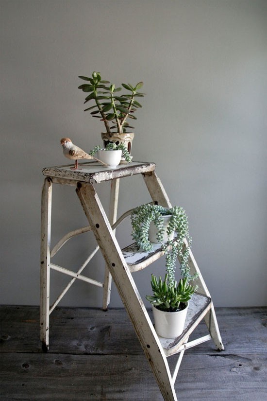 12 lovely plant stands that are perfect to display your