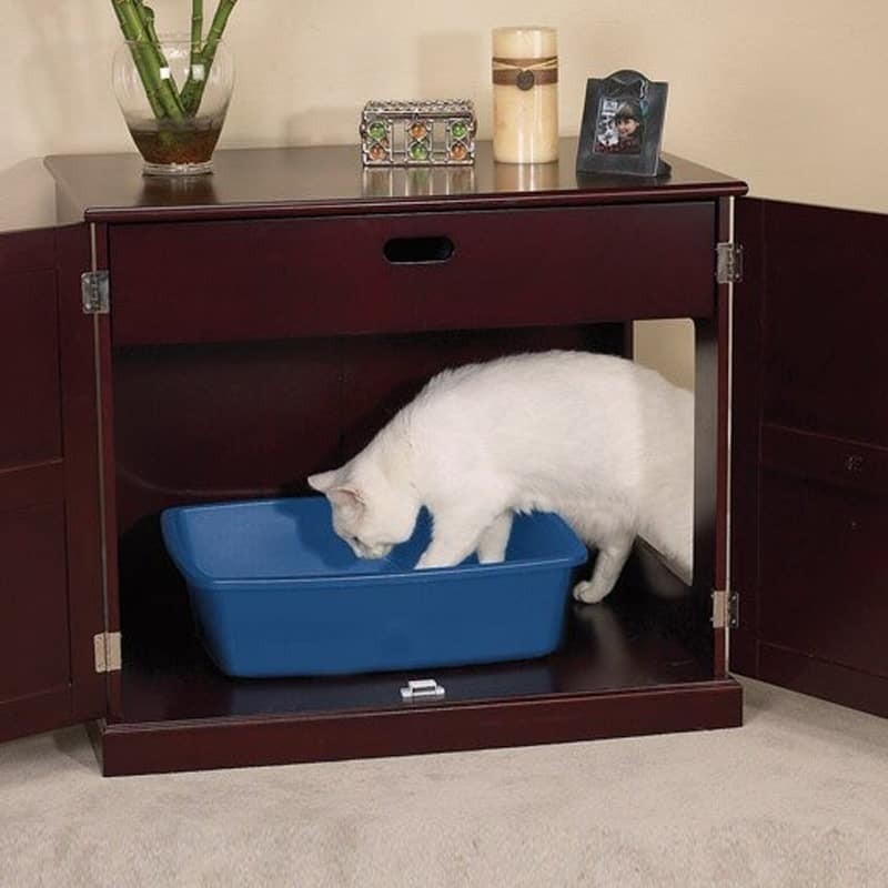 A cat litter box cabinet keeps things tidy pawsome critters