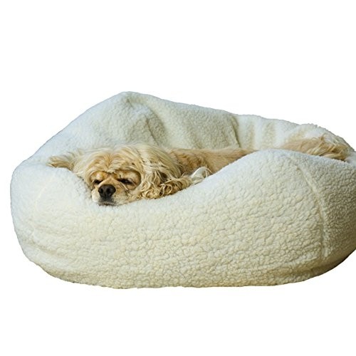 Bean bag dog bed