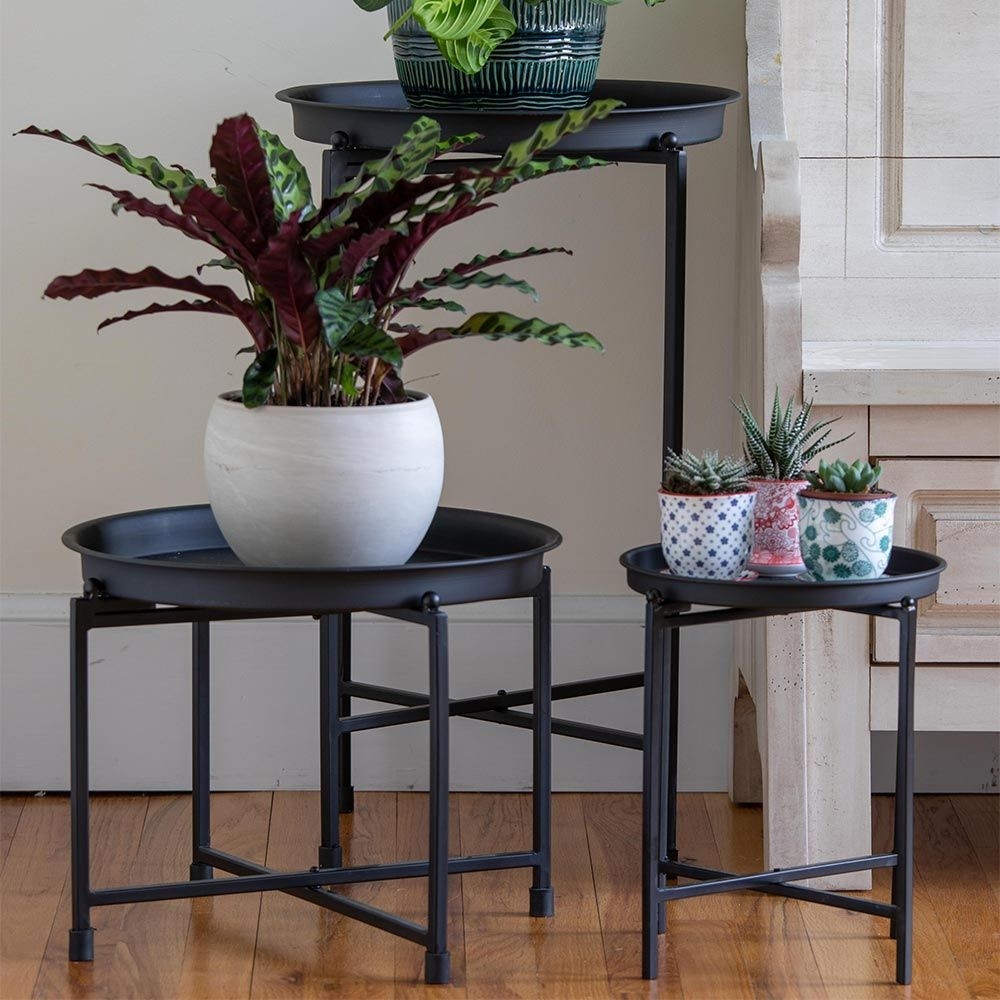Metal Plant Stand - Ideas on Foter