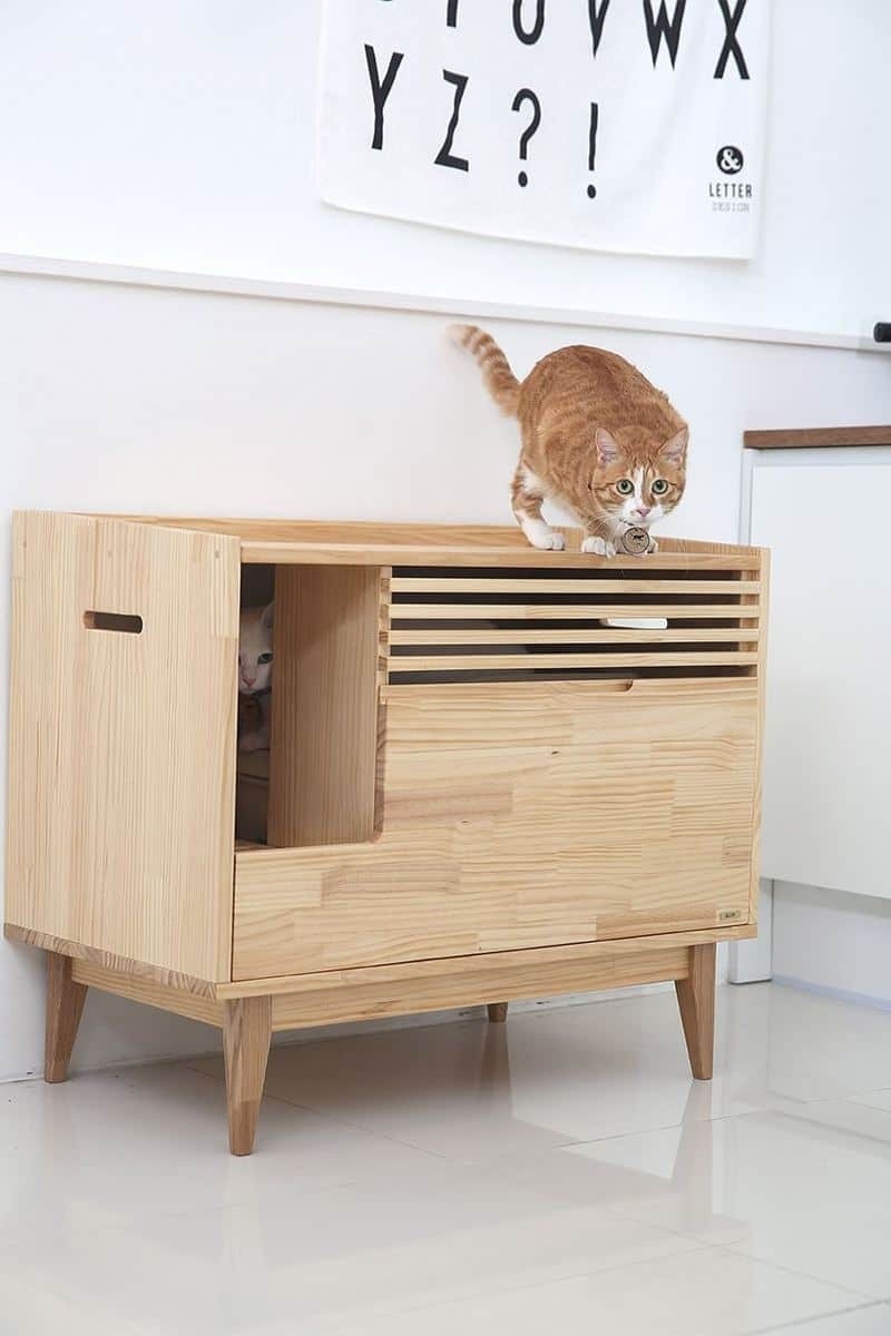 5 cat litter box furniture solutions you did not know