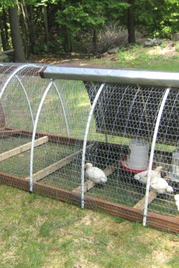 Chicken Tractors With Wheels - Foter