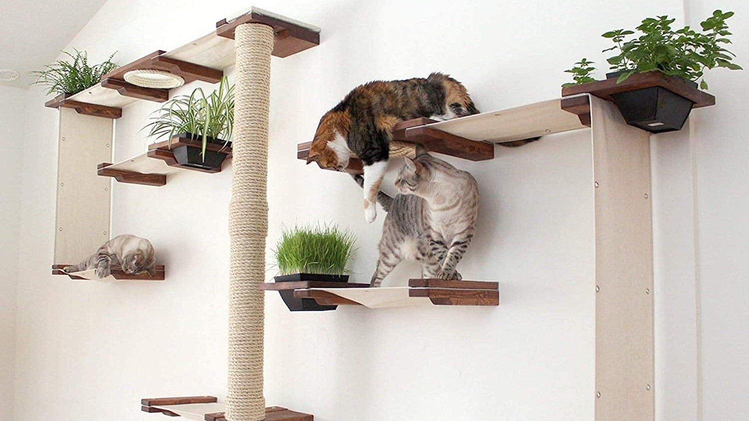 19 modern cat trees to buy immediately the dog people