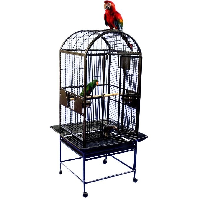A e cage co medium dome top bird cage reviews