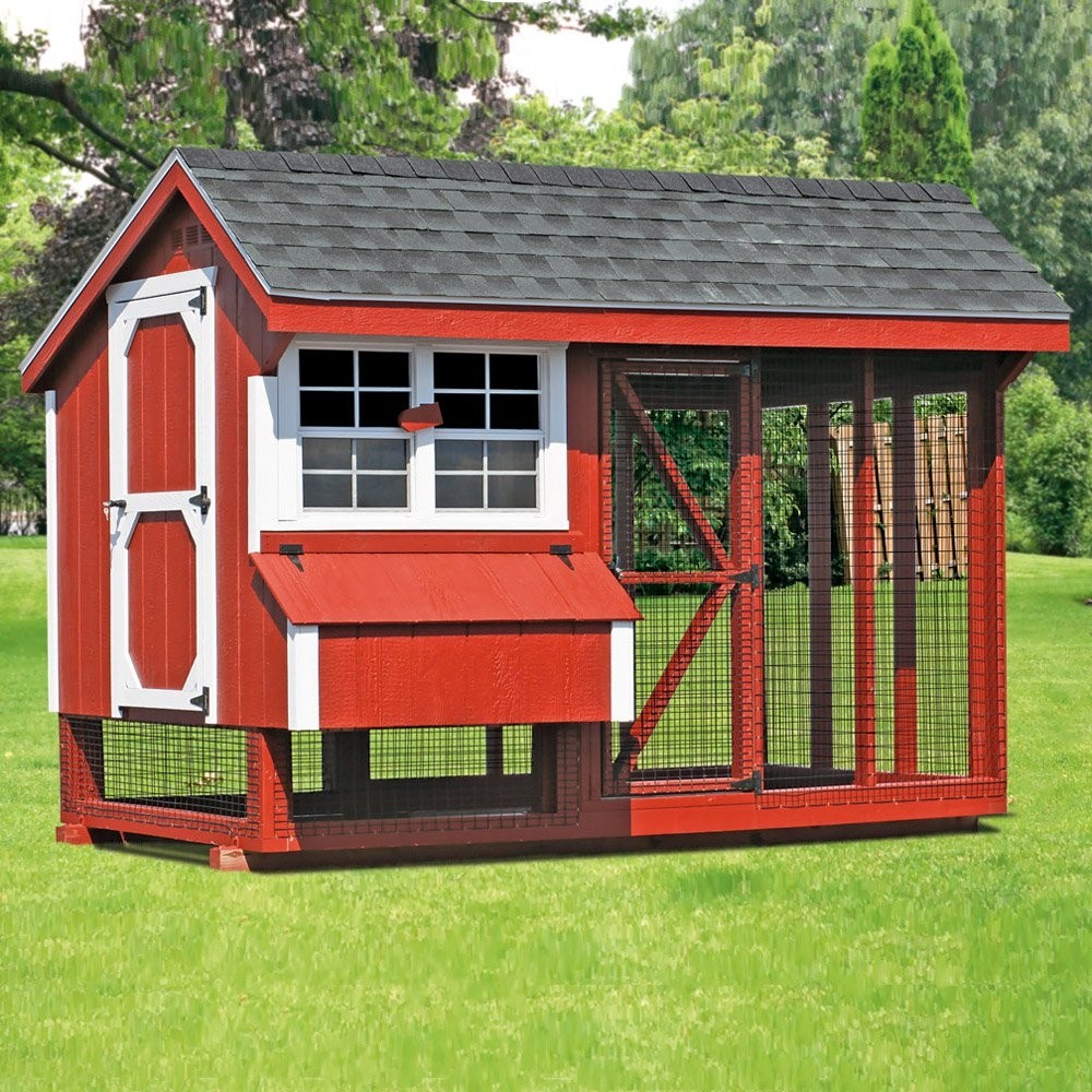 All in one 6x10 chicken coop plus run up to