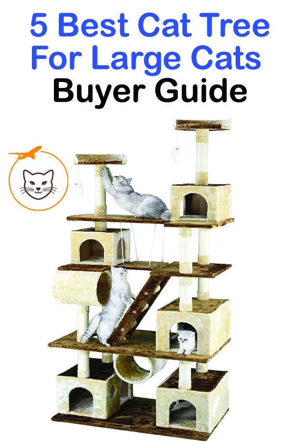 Cat trees are artificial towers made for cats to play